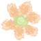 ͼƬ