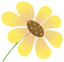ͼƬ